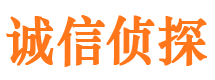 孝南市私家侦探